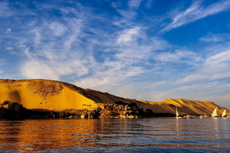 Golden Desert Sands of the Sahara in Egypt Photograph by Mark Tisdale