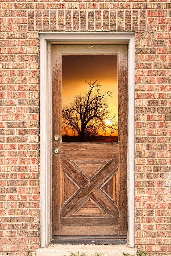 Golden Doorway Window View Photograph by James BO Insogna