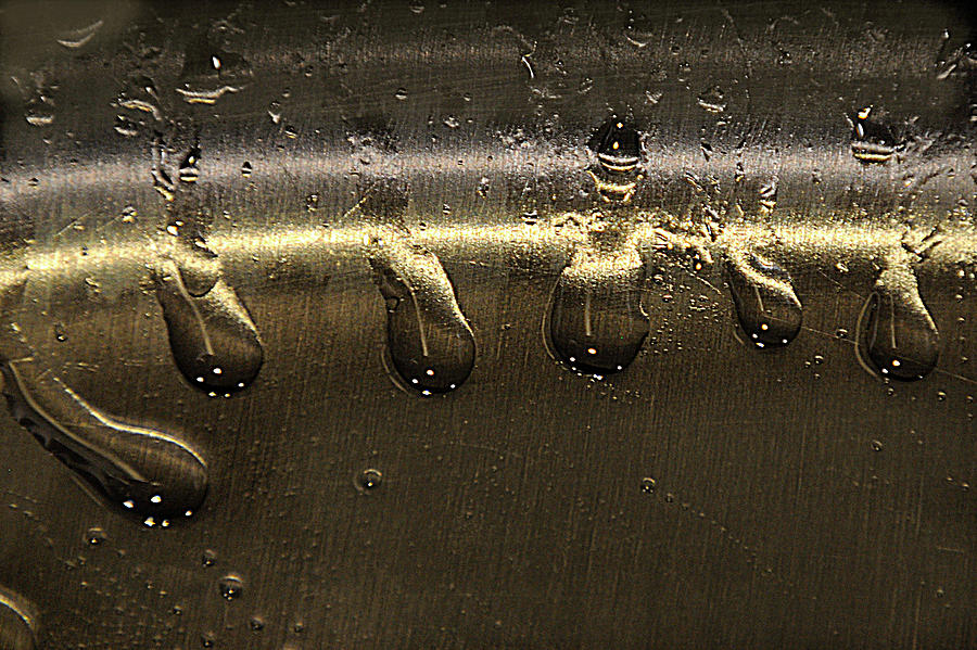 Golden Droplets Photograph by Geraldine Alexander