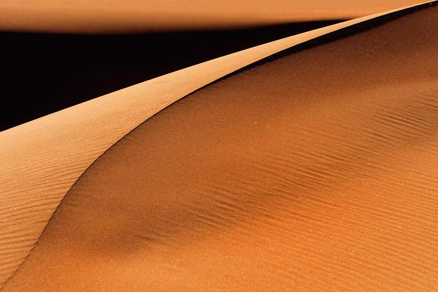 Golden Dunes Photograph by Jure Kravanja