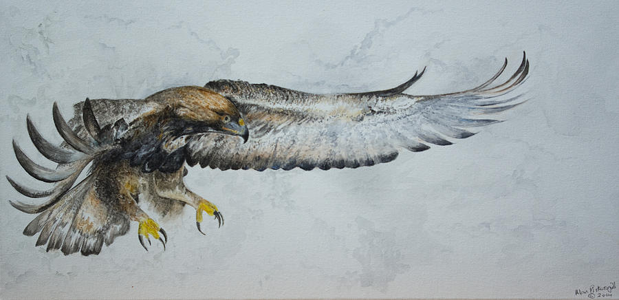 Golden Eagle Painting by Alan Pickersgill