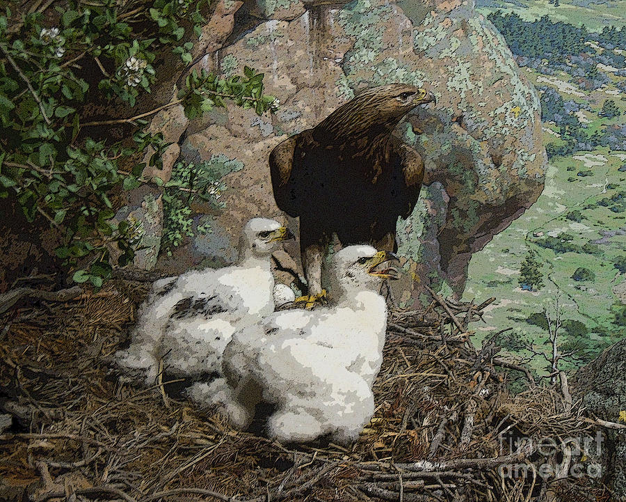 Golden Eagle and Chicks Digital Art by Heather Coen