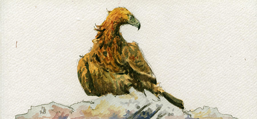 Eagle Painting - Golden Eagle Aquila chrysaetos by Juan  Bosco