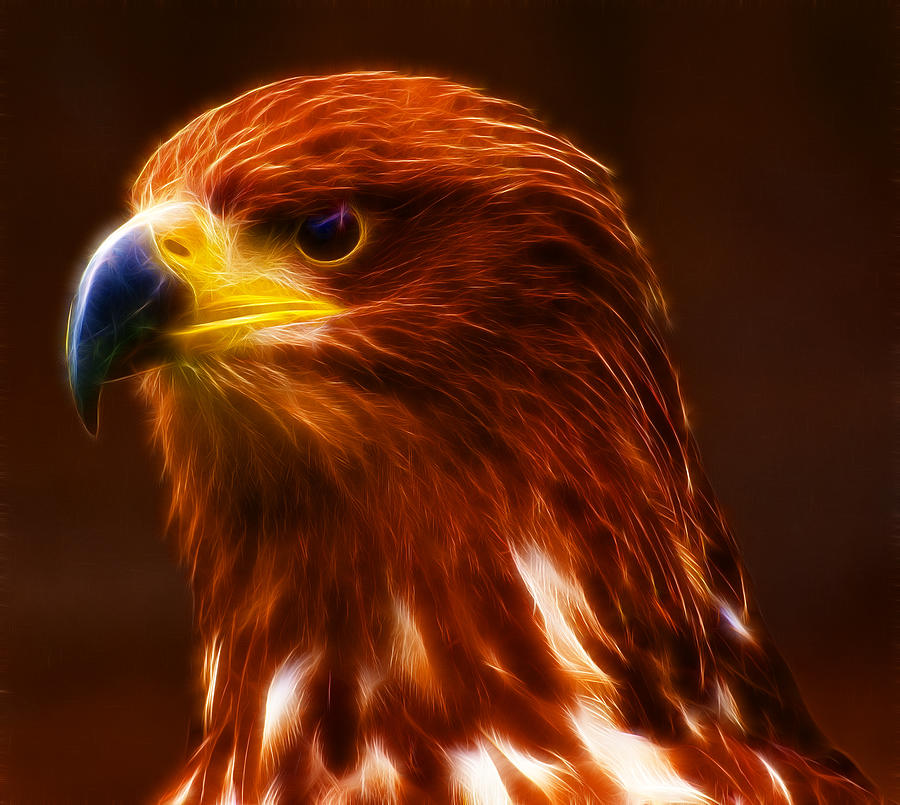 Eagle Photograph - Golden Eagle Eye Fractalius by Chris Thaxter