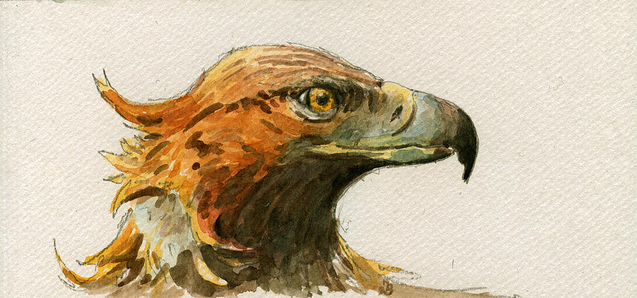 Eagle Painting - Golden eagle by Juan  Bosco
