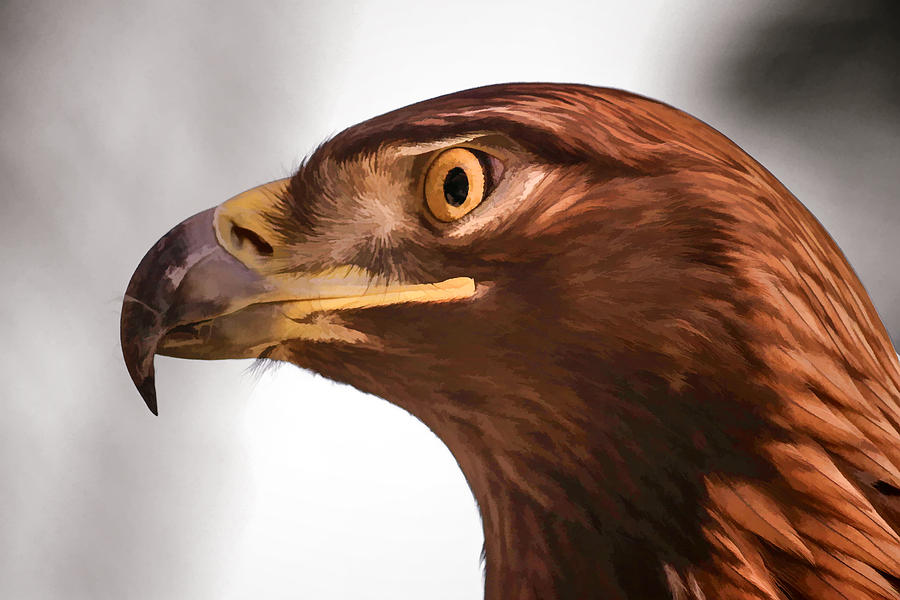 Golden Eagle Digital Art by Photographic Art by Russel Ray Photos