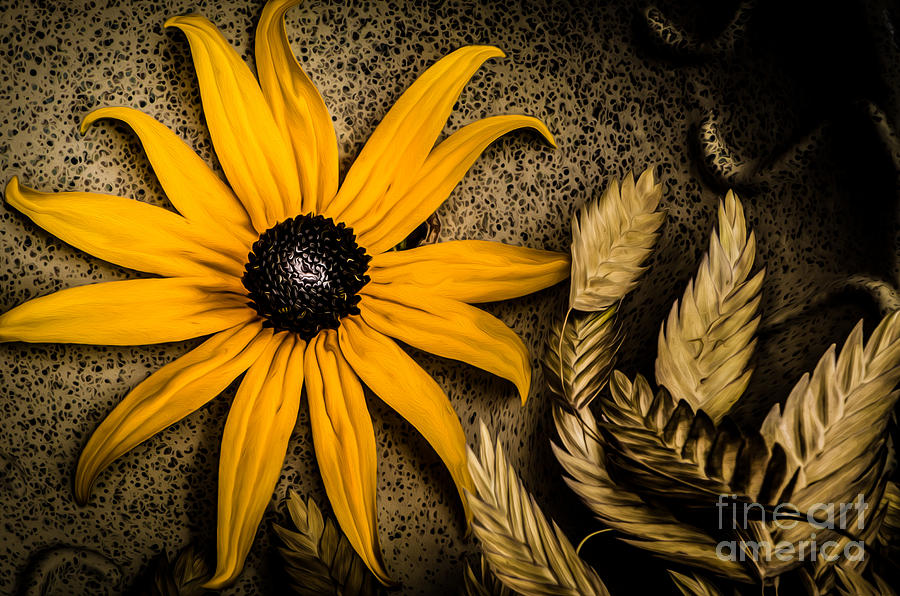 Golden Evening Flower Photograph by Michael Arend