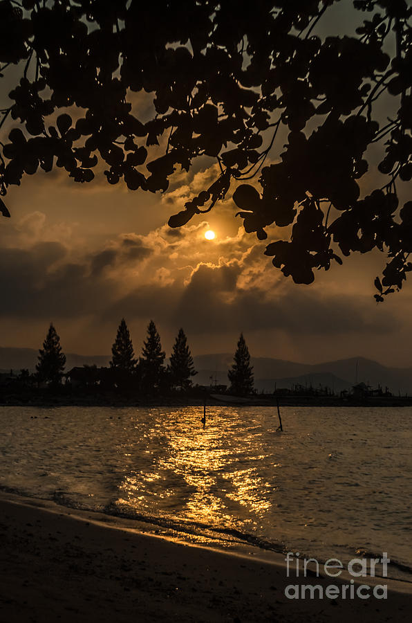 Golden Evening Photograph by Michelle Meenawong
