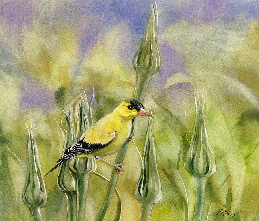 Golden Finch Painting by Alfred Ng