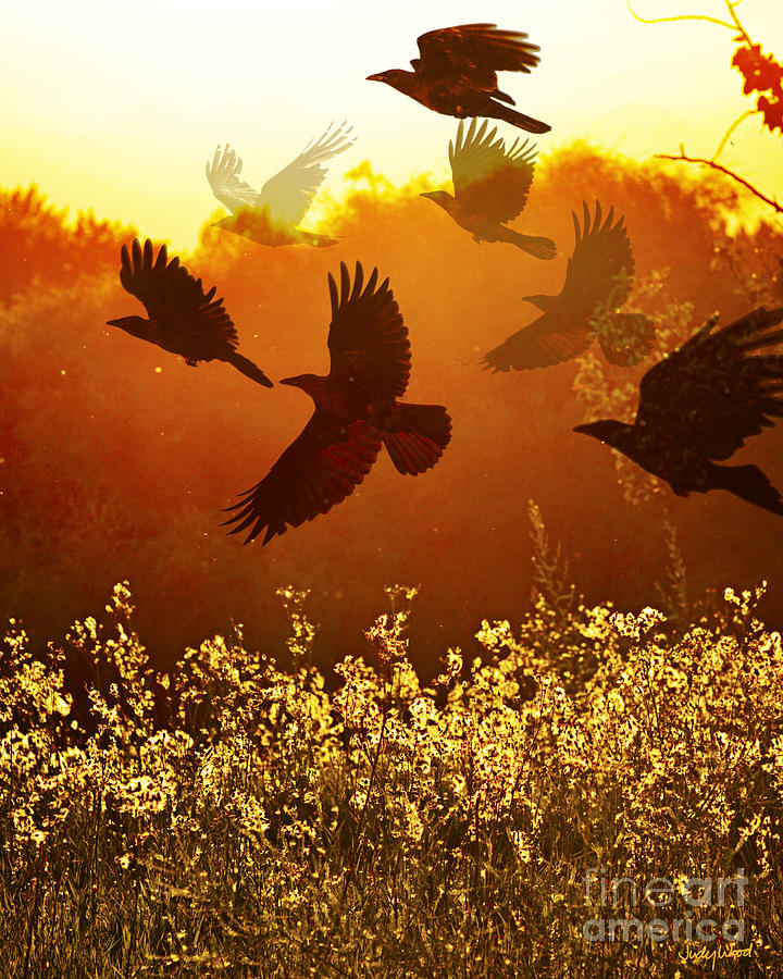 Crow Digital Art - Golden Flight by Judy Wood
