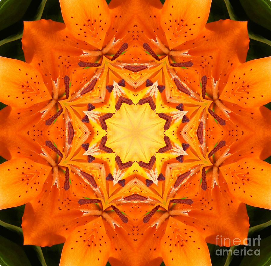 Golden Flower - Abstract - Kaleidoscope2 Digital Art by Barbara A Griffin