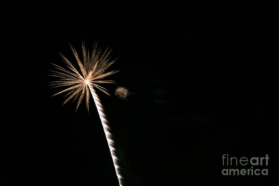 Independence Day Photograph - Golden Flower by Casey Hanson