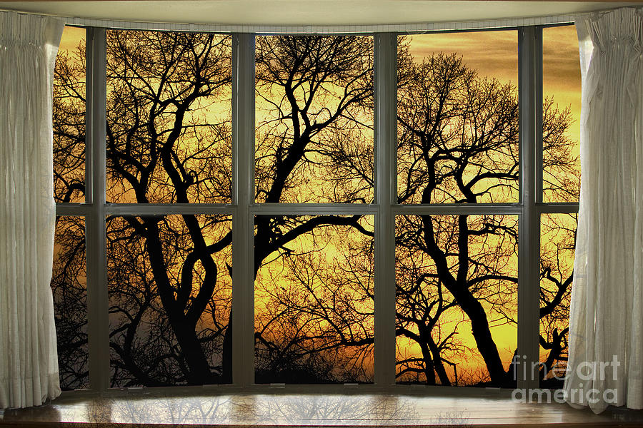 Golden Forest Bay Picture Window View Photograph by James BO Insogna
