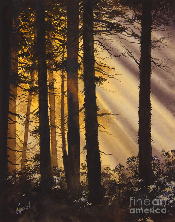 Golden Forest Light Painting by James Williamson