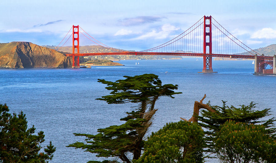 Golden Gate Bridge Photograph - Golden Gate Bonzai by Shell Ette