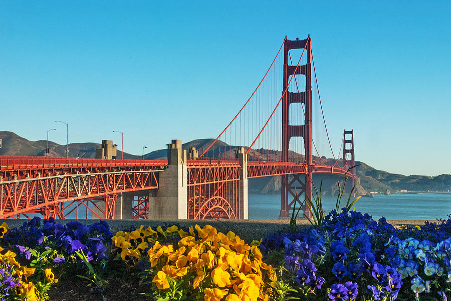 Golden Gate Bridge   California Photograph by Willie Harper