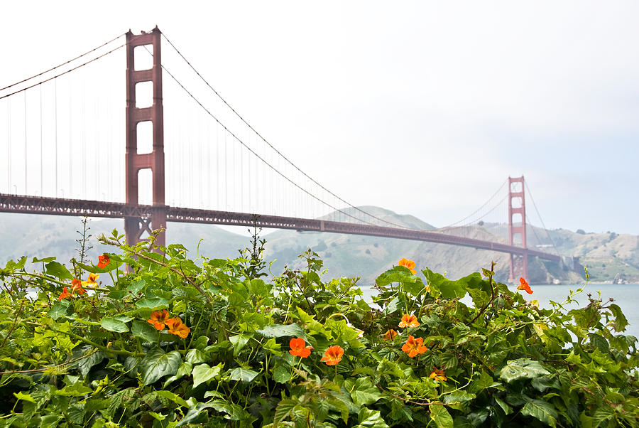 Golden Gate Bridge 2 Photograph by Shane Kelly