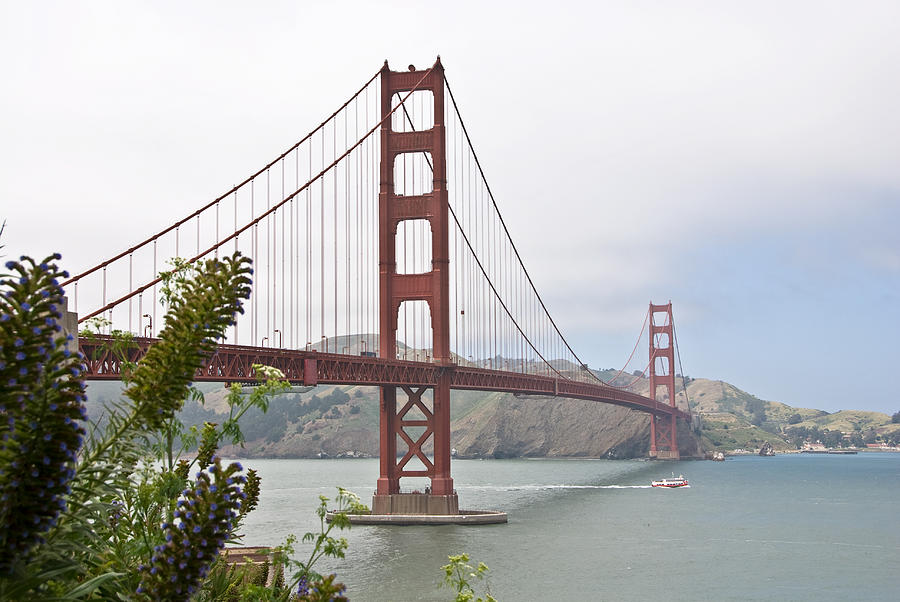 Golden Gate Bridge 3 Photograph by Shane Kelly
