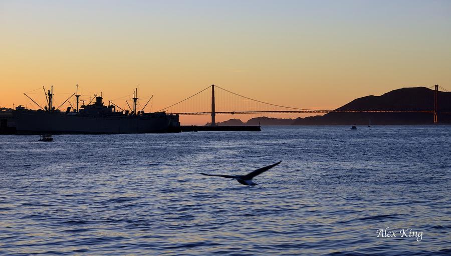 Seagull Landing with Golden Gate Bridge Backdrop Photograph by Alex King