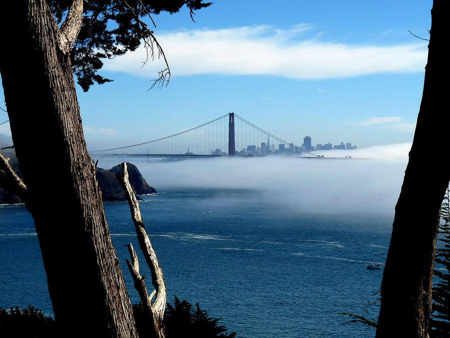 Golden Gate Bridge and Fog  Photograph by Jeff Lowe