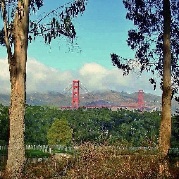 Nature Photograph - Golden Gate Bridge From The Presidios by Karen Winokan
