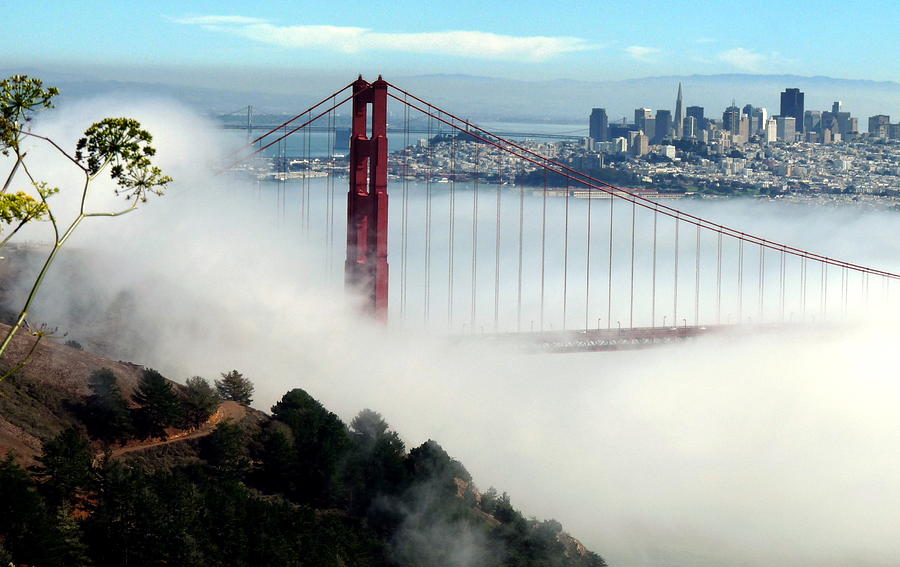Golden Gate Bridge in Fog and San Francisco Photograph by Jeff Lowe