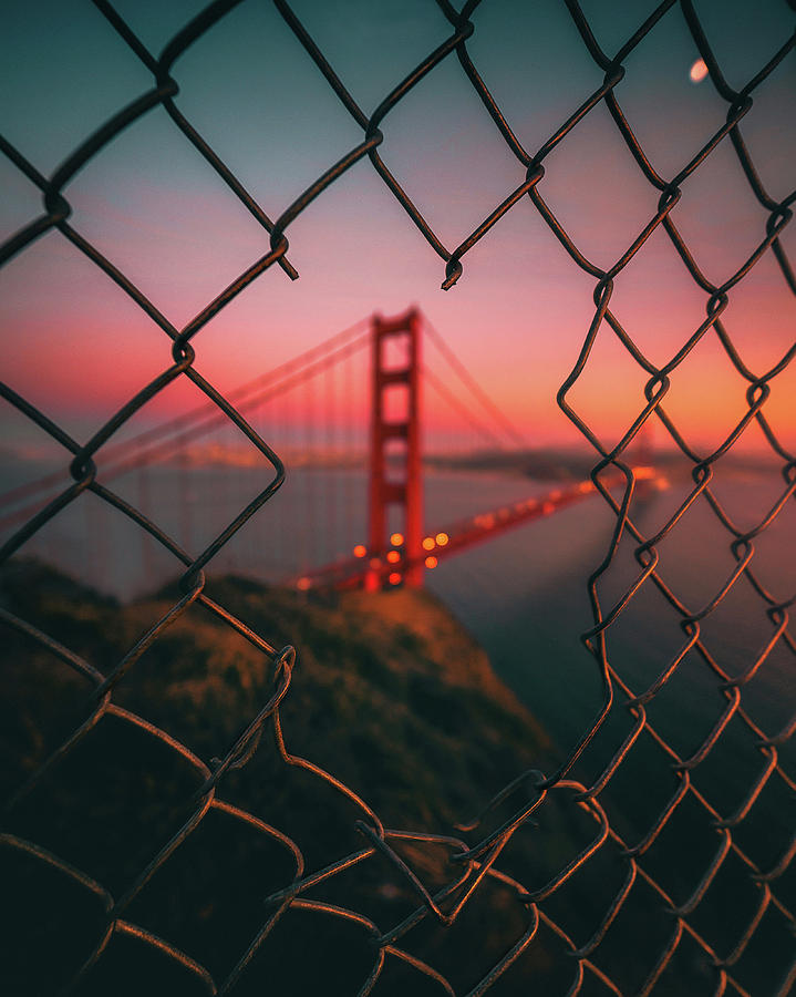 Golden Gate Caged Photograph by David George