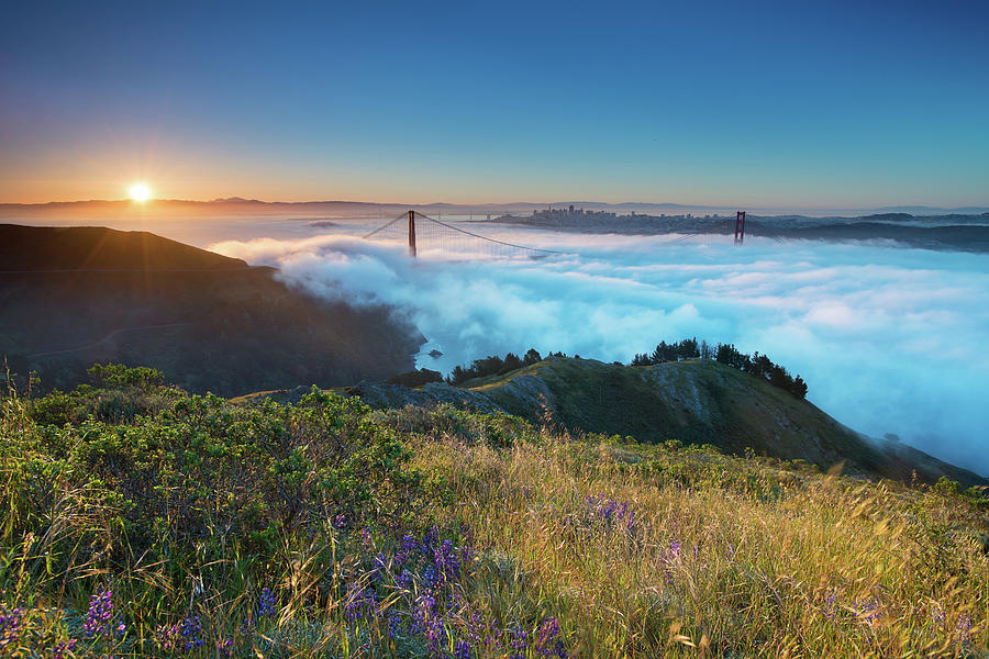 Golden Gate Fog Photograph by Dsafanda