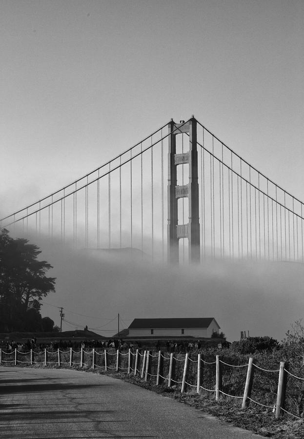 Golden Gate Fog Photograph by Michael Hope