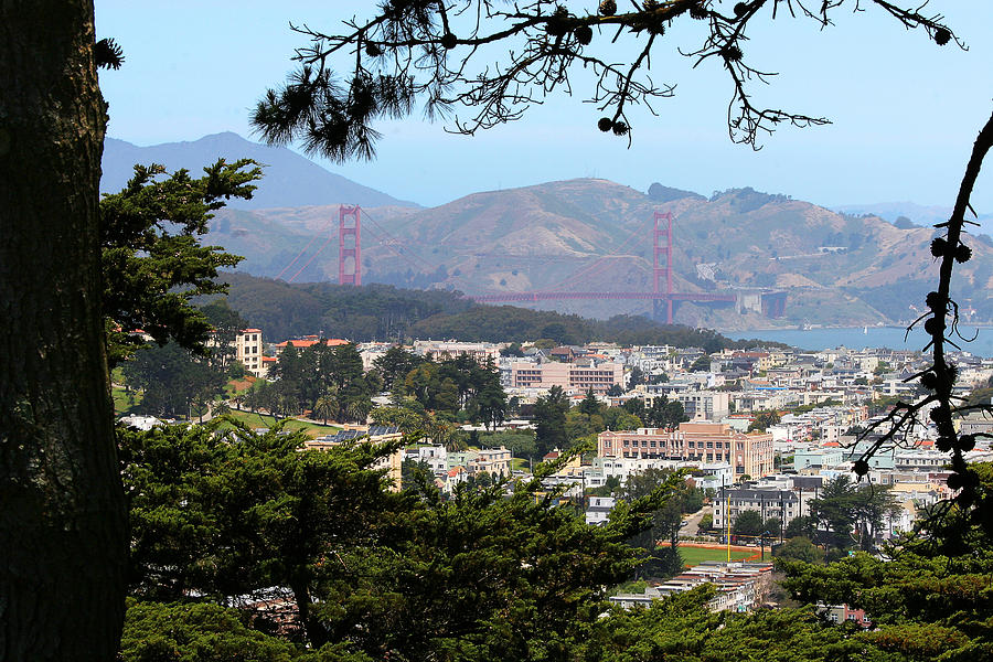 Golden Gate From Buena Vista Park Photograph by Robert Woodward
