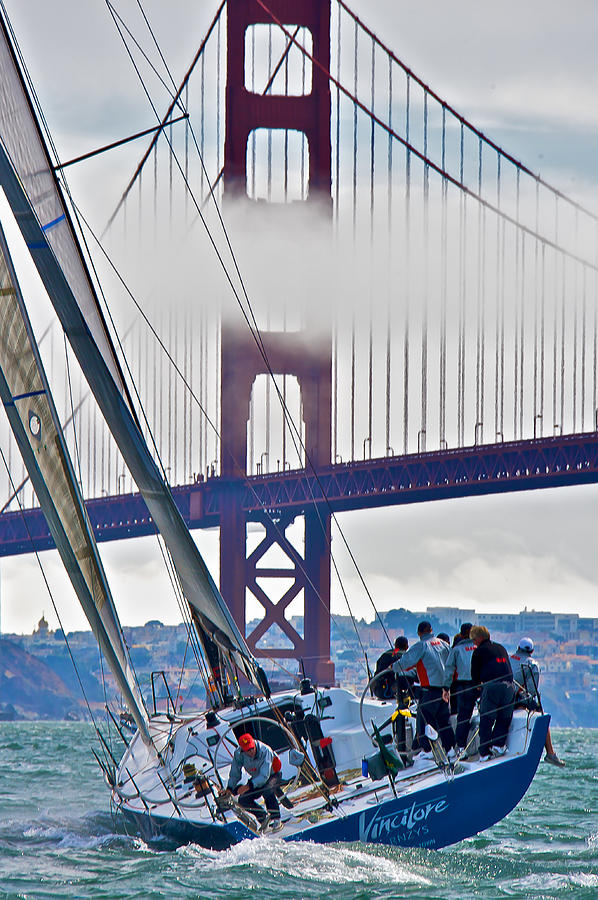 Golden Gate Sails Photograph by Steven Lapkin