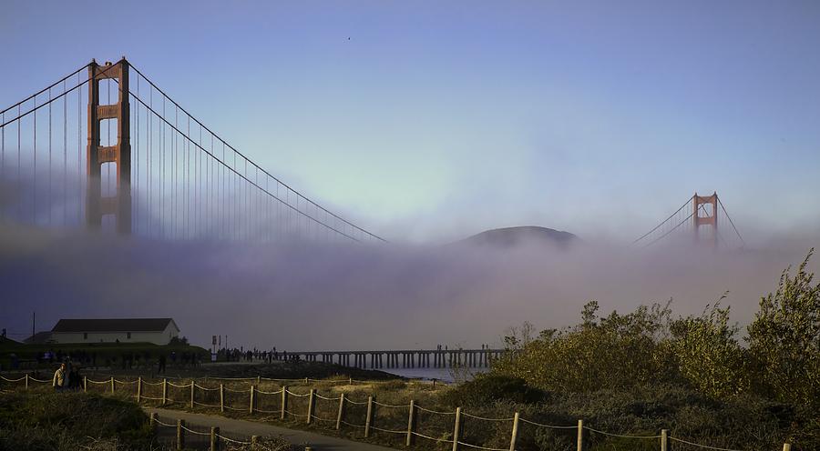 Golden Gate Soft Fog Photograph by Michael Hope