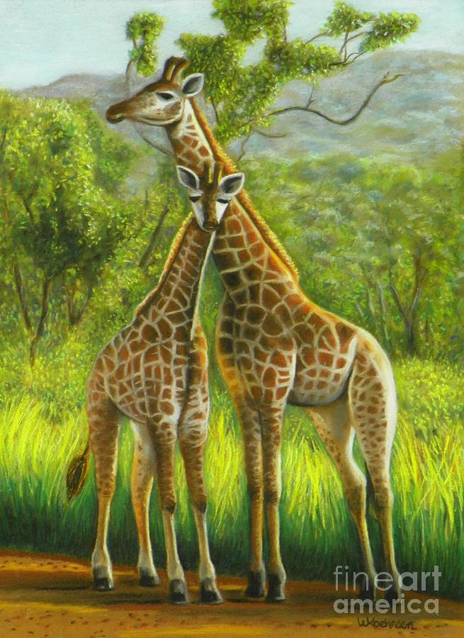 Golden Giraffe Morning Drawing by Wendy Koehrsen