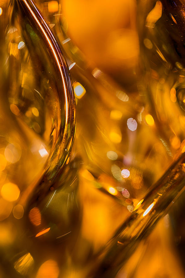 Golden Glass Photograph by Lauri Novak