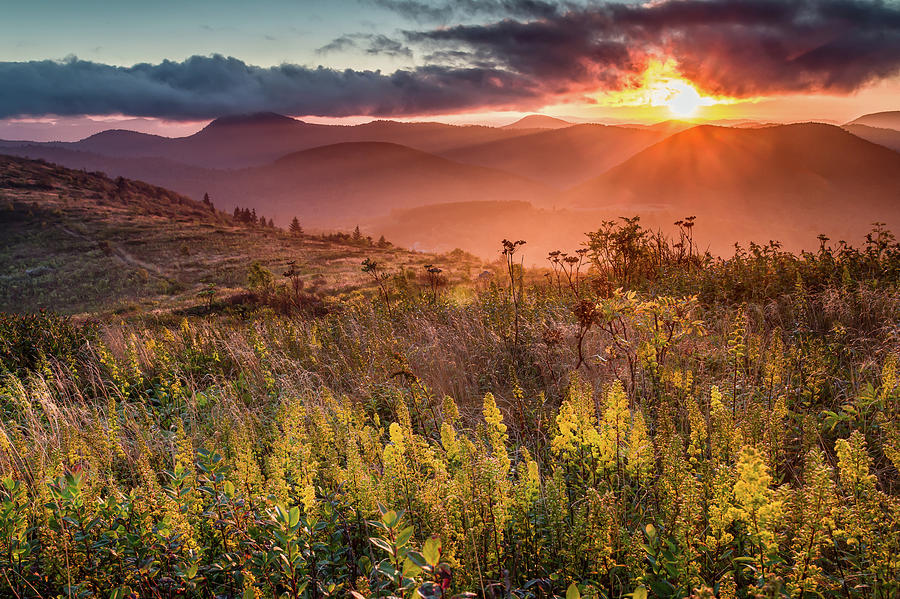 Golden Glory Photograph by Fine Art Images By Rob Travis Photography