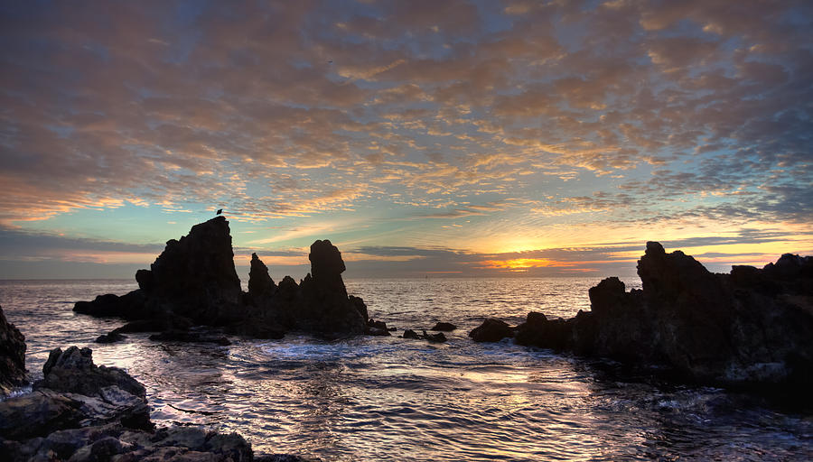 Golden Glow Corona del Mar Calfornia Photograph by Cliff Wassmann