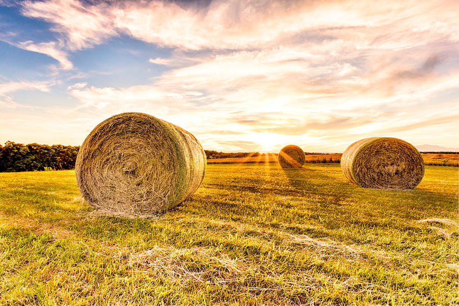 Golden Glow over the Bales Photograph by Rob Narwid