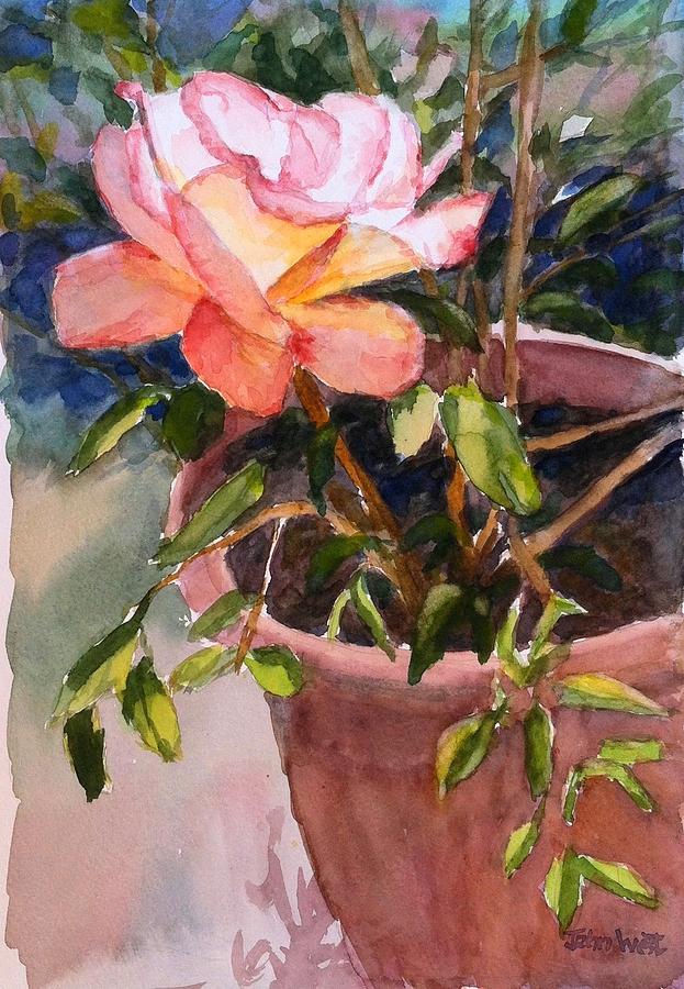 Golden Glow Rose Painting by John West