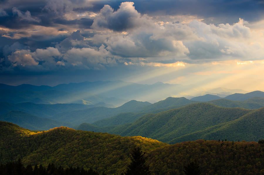 Golden God Rays Photograph by Jared Kay - Fine Art America