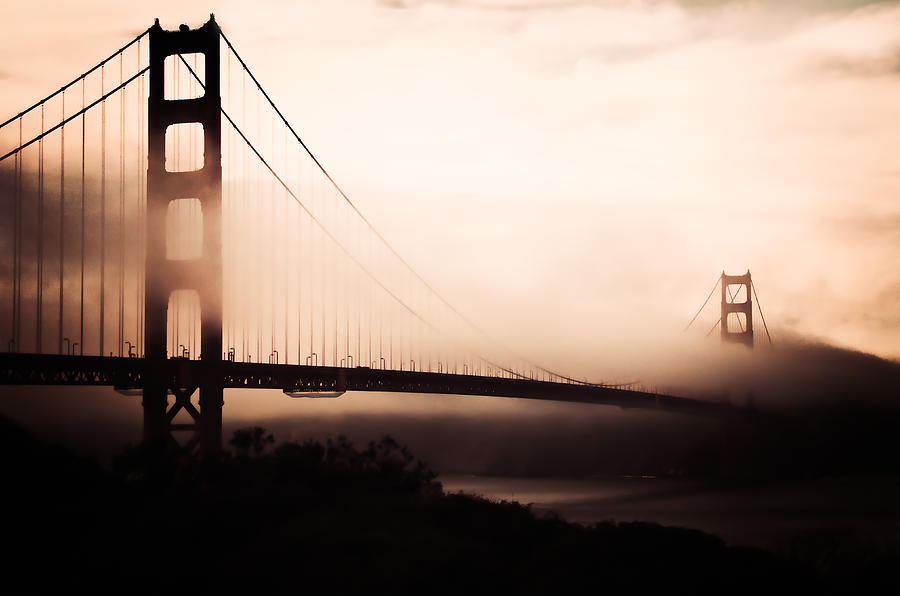 San Francisco Photograph - Golden Golden. by Jennifer Alexander