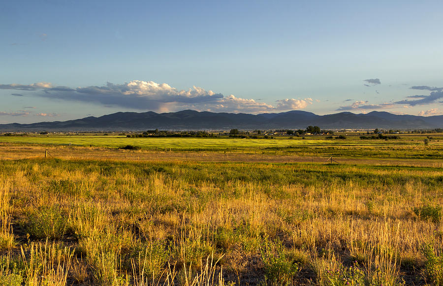 Landscape Photograph - Golden Grass and Distant Mountains by Dana Moyer