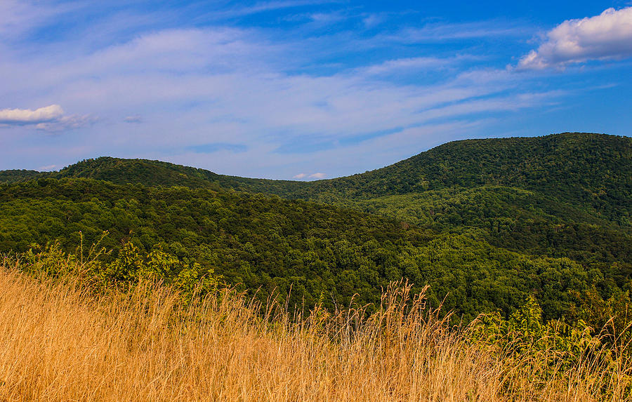 Mountain Photograph - Golden Grass in the Blue Ridge by Rachel Cohen
