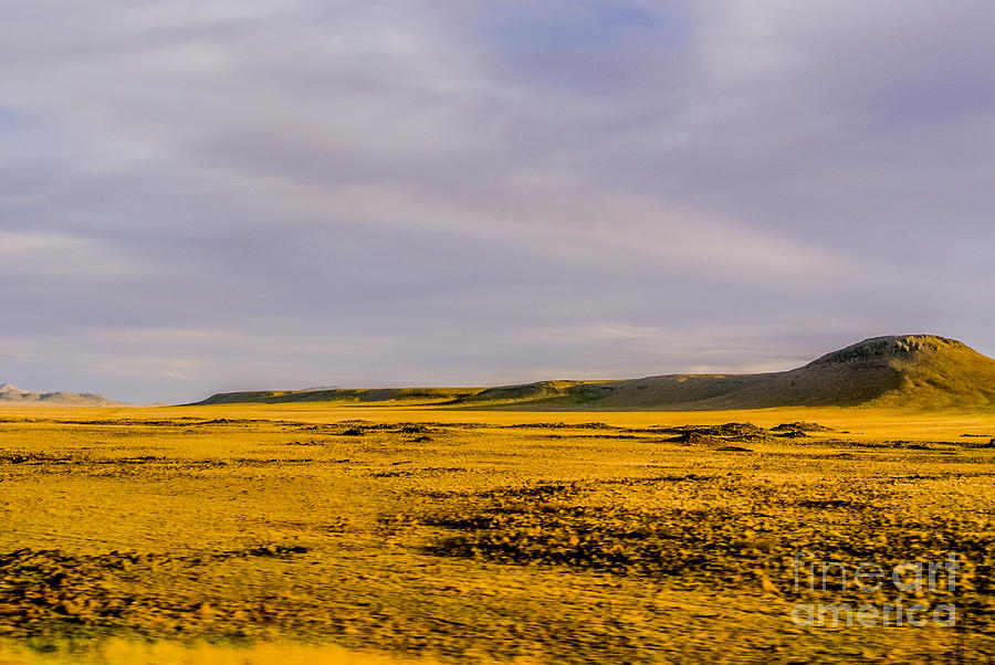Sunset Photograph - Golden Grassland by Gib Martinez