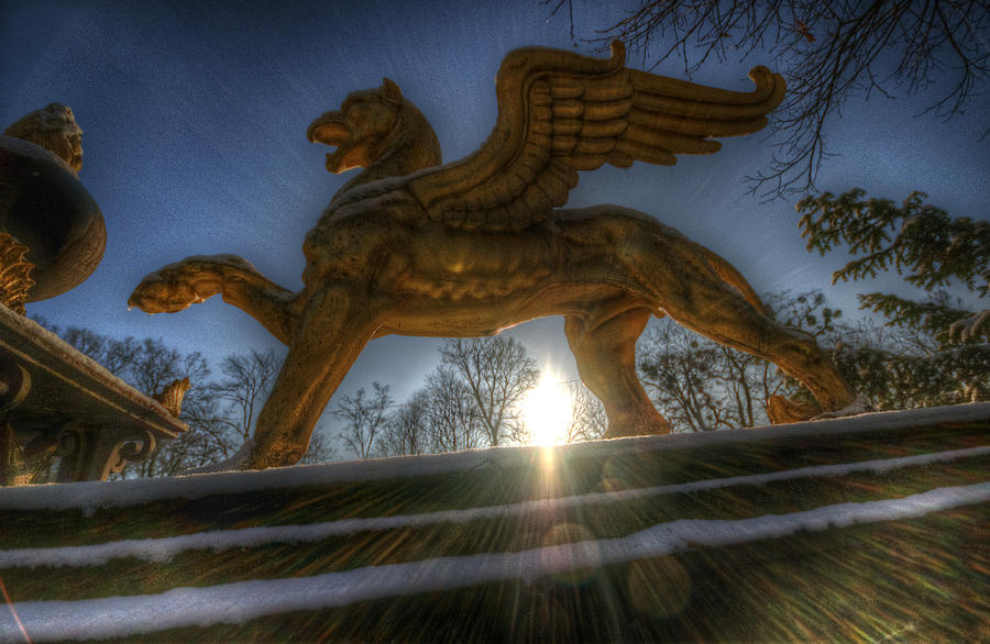 Golden griffin Digital Art by Nathan Wright