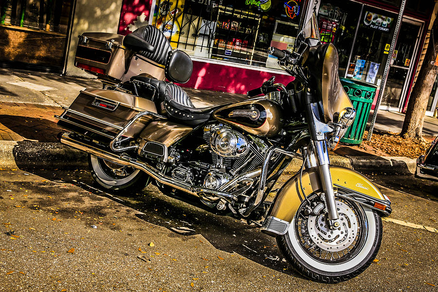 Golden Harley Photograph by Chris Smith
