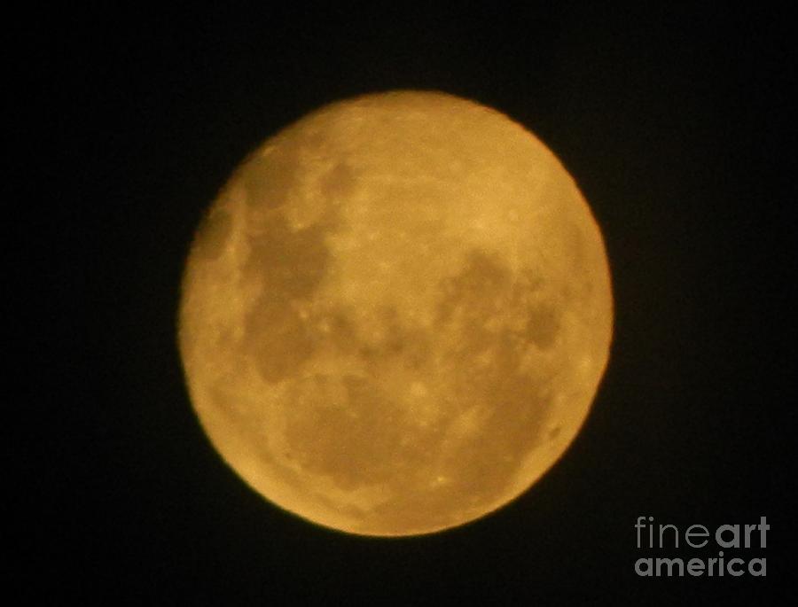 Golden Harvest Moon Photograph by Gallery Of Hope 