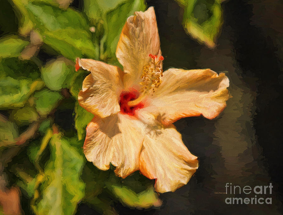 Golden Hibiscus Morning Painting by Deborah Benoit