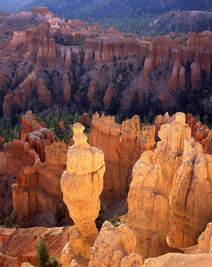 Golden Hoodoo Photograph by Ray Mathis