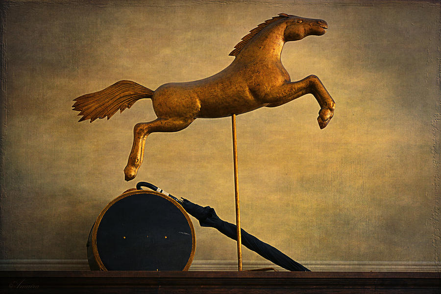 Golden Horse Photograph by Maria Angelica Maira