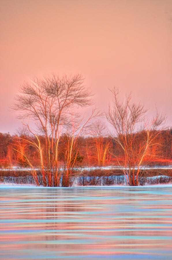 Golden Hour Frozen Reflection Photograph by Beth Venner